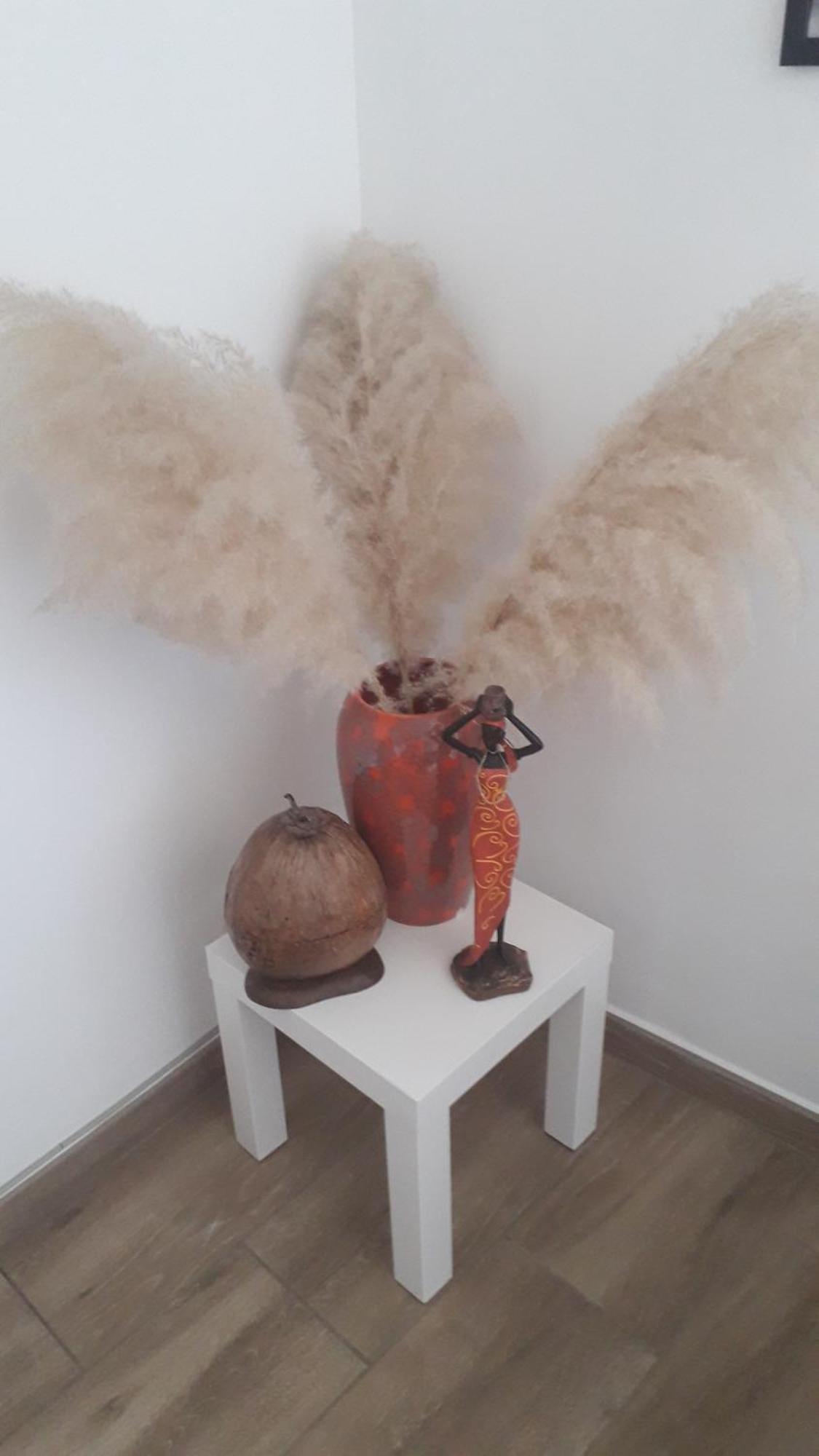 Homestay Veronique Schouckens *